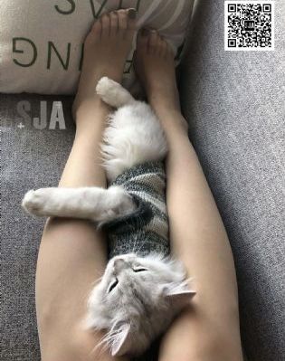 男男大尺度_BD韩语超清免费观看