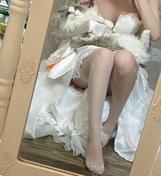 完美世界樱花动漫免费观看_剧情片电影免费在线